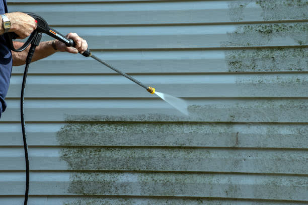 Roof Power Washing Services